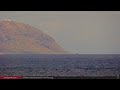 Aug 1, 2024: Wild Dolphins on the North Shore of Oahu, Hawaii in 4K Ultra HD