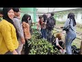 Mendampingi Mahasiswa Menyiapkan Stek Mawar & Dahlia...Praktikum Agronomi Univ. Pat Petulai (Part 2)