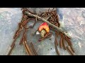 It's so many red and brown millipedes | Hunting lots big millipedes #viral #insects #animal