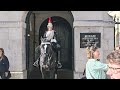 HE BITES! Horse is SICK of stupid tourists - Guard even tells them!