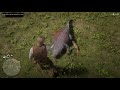 First Catch of the Day - Red Dead Redemption 2