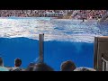 Seaworld San Antonio Orca Encounter Full Show