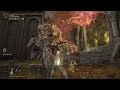 Draconic Tree Sentinel No Hit No Leveling Lv.(9)