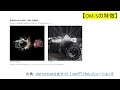 【徹底比較】LUMIX G100D vs OM-5 小型軽量 多機能なマイクロフォーサーズ【Panasonic】【OM SYSTEM】