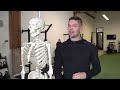 The Best Thing You Aren't Doing For Thoracic Mobility & Health