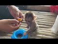 Gorgeous Baby DORN Sit On Star Char Eating Porridge