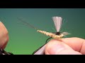 Tying a Foam body mayfly with Barry Ord Clarke