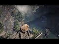 Throwing man off bridge in Red dead redemption 2