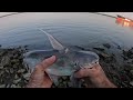 Record Heat, Mississippi River Catfish Fishing