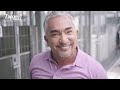 Cesar Millan: How to Pick the Best Shelter Pet for You | Zappos.com