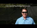 Tennis Confidence Video 2: How Fear of Failure Holds Players Back