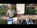 PROPER SOIL AND FIXING YOUR PLANTS | LIVESTREAM
