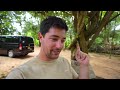 Sri Lankan Village Food 🇱🇰 FISHERMAN LOTUS LEAF LUNCH + Unique Roti in Sri Lanka!