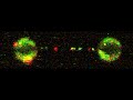 FANCID2-FANCI protein complex is a sliding clamp that can survey DNA for damage