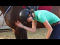 How I tack up for a sj clinic + summer ride!