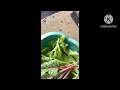 Happy Juneteenth | A lettuce harvest