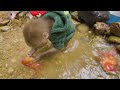Baby monkey catches koi fish, picks fruit, finds toys and opens super cute surprise eggs