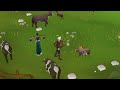 Runescape Noob Playing OSRS For The First Time