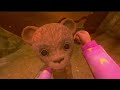 among the sleep