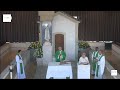 Missa a Nossa Senhora de Fátima desde a Capelinha das Aparições  02.06.2024