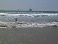 Toby at Huntington Beach Dog Beach II