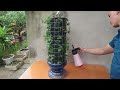 Creative Jade Flower Garden Ideas - How To Grow Beautiful Jade Flowers For The Garden