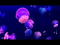 2 Hours Underwater Relaxing Music -Satisfying Sensory Sleep Music - Stress Relief Music, Meditation