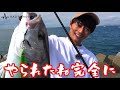 【ショアジギ入門】釣りプロが総額10,000円タックルで青物を狙う！〈実釣編〉