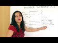 Polymerase Chain Reaction (PCR)