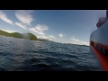 Teakerne Arm and Killer Whales Gopro