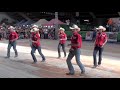 Fast As A Shark line dance - WILD COUNTRY - Voghera Country Festival 2012