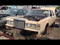 1985 or 1989? Lincoln town car junkyard find