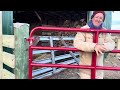 Greg gives tour of their new livestock corral construction.