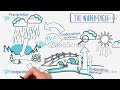 The Water Cycle Explainer