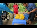 Harvesting Watermelon yellow goes to the market sell-Weaving bamboo baskets,catching fish,Cooking