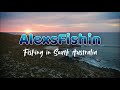 SALMON SCHOOLS on Adelaide Coastline! (DRONE FOOTAGE)