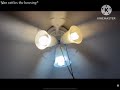 my ceiling fans! (#3 POPULAR VID)