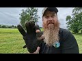 SILVER! at last! | Love Token | Metal detecting uk