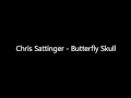 Chris Sattinger aka Timeblind - Butterfly Skull