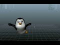Penguin Testing Animation