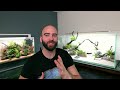 The Angelfish Aquarium: EPIC NO co2 4ft Aquascape Tutorial (Full Guide)