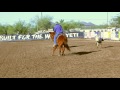 Dynamite Arena in Cave Creek Great Food Great Team Roping Arena 602-721-5027