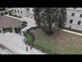 Veterans Day in Toronto - Mini 3 Pro Drone Flight