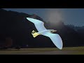 Planeprint Seagull official Video