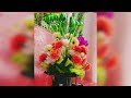 Flowers Aesthetic🌹💐| Aesthetic video that make your mind fresh❤️... #aesthetic