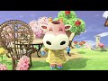 Animal Crossing New Horizons |Cozy Cottage| Happy Home Paradise|acnh speed build