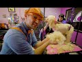 Blippi Makes Friends at the Animal Shelter! | Playing with Cute Pets | Educational Videos For Kids