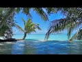 🌴 Ocean Ambience on a Tropical Island (Maldives) with Soothing Waves & Paradise View for Relaxation.