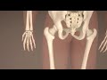 Madison™ Bone Biopsy System Procedure