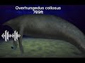 Overhungedus collosus